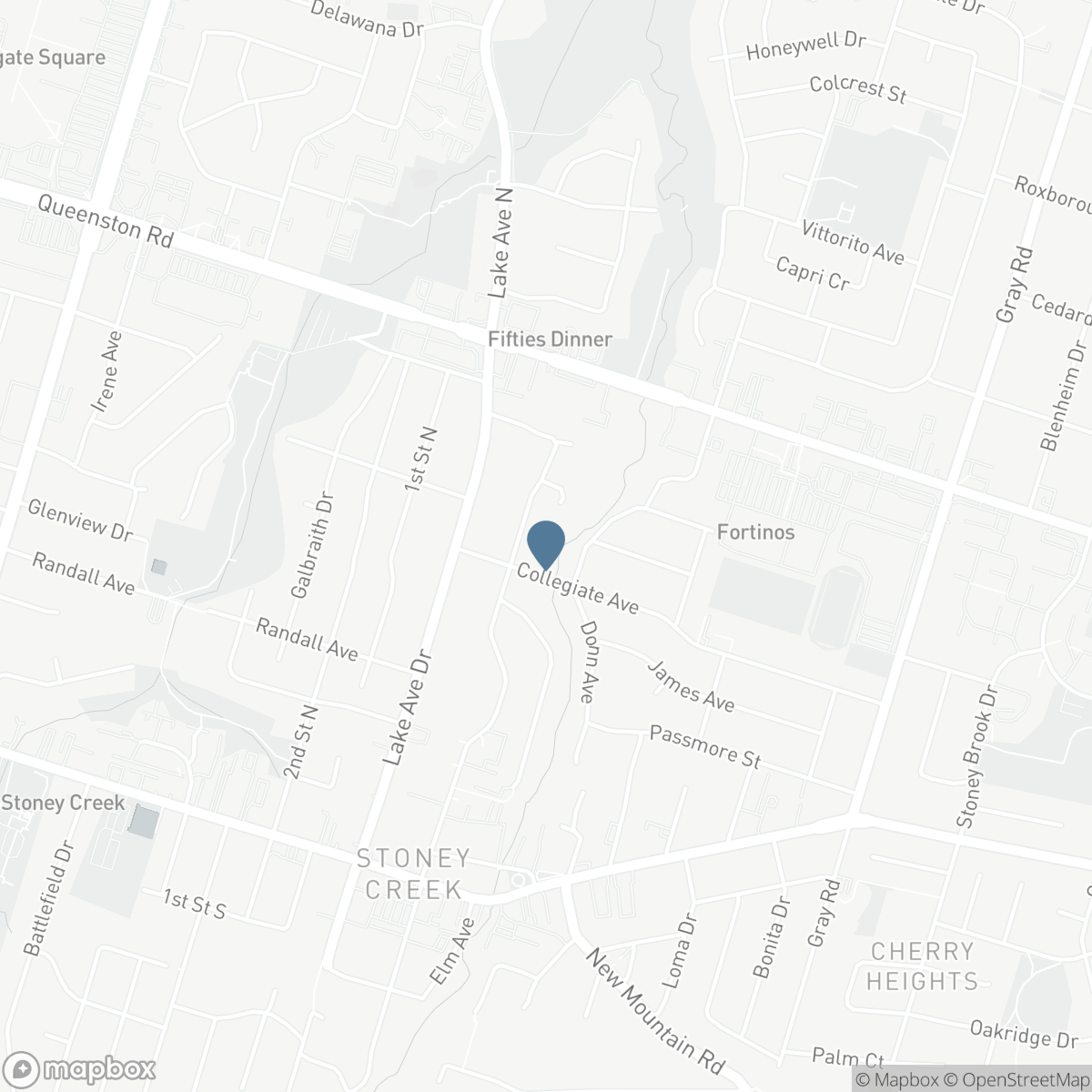 72 MOUNTAIN AVENUE N, Hamilton, Ontario L8G 3P5